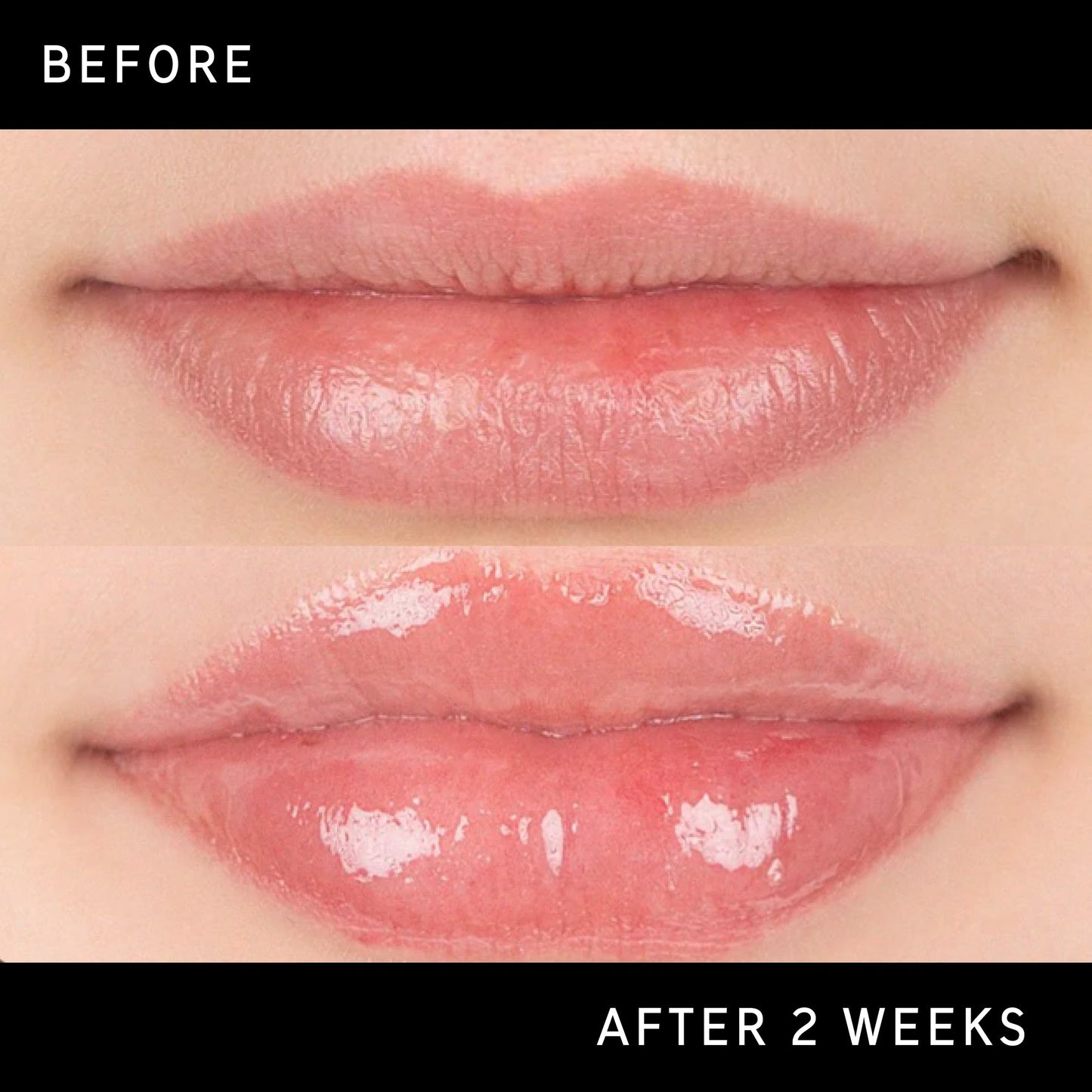 tripeptide-plumping-lip-balm-y9 DTC-Top15_Amends_Tripeptide-Lip_B_A.jpg